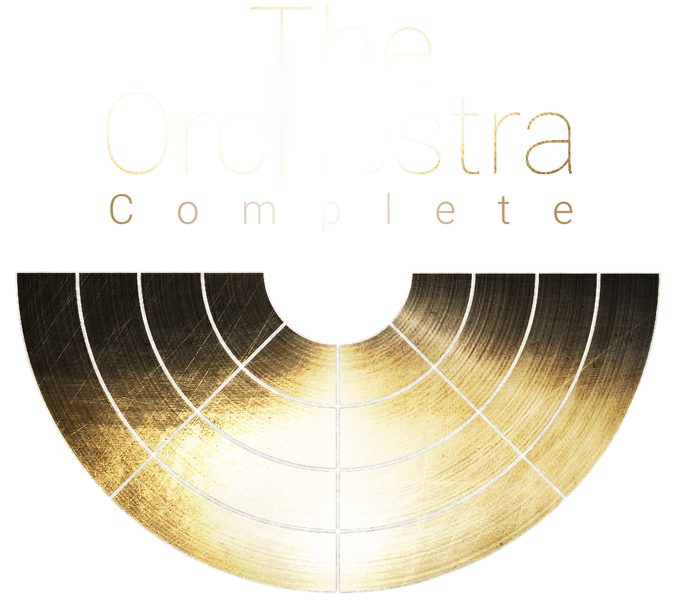 The orchestra complete